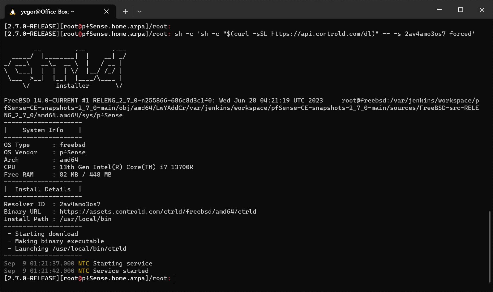 Screenshot of router command line showing ctrld installer details